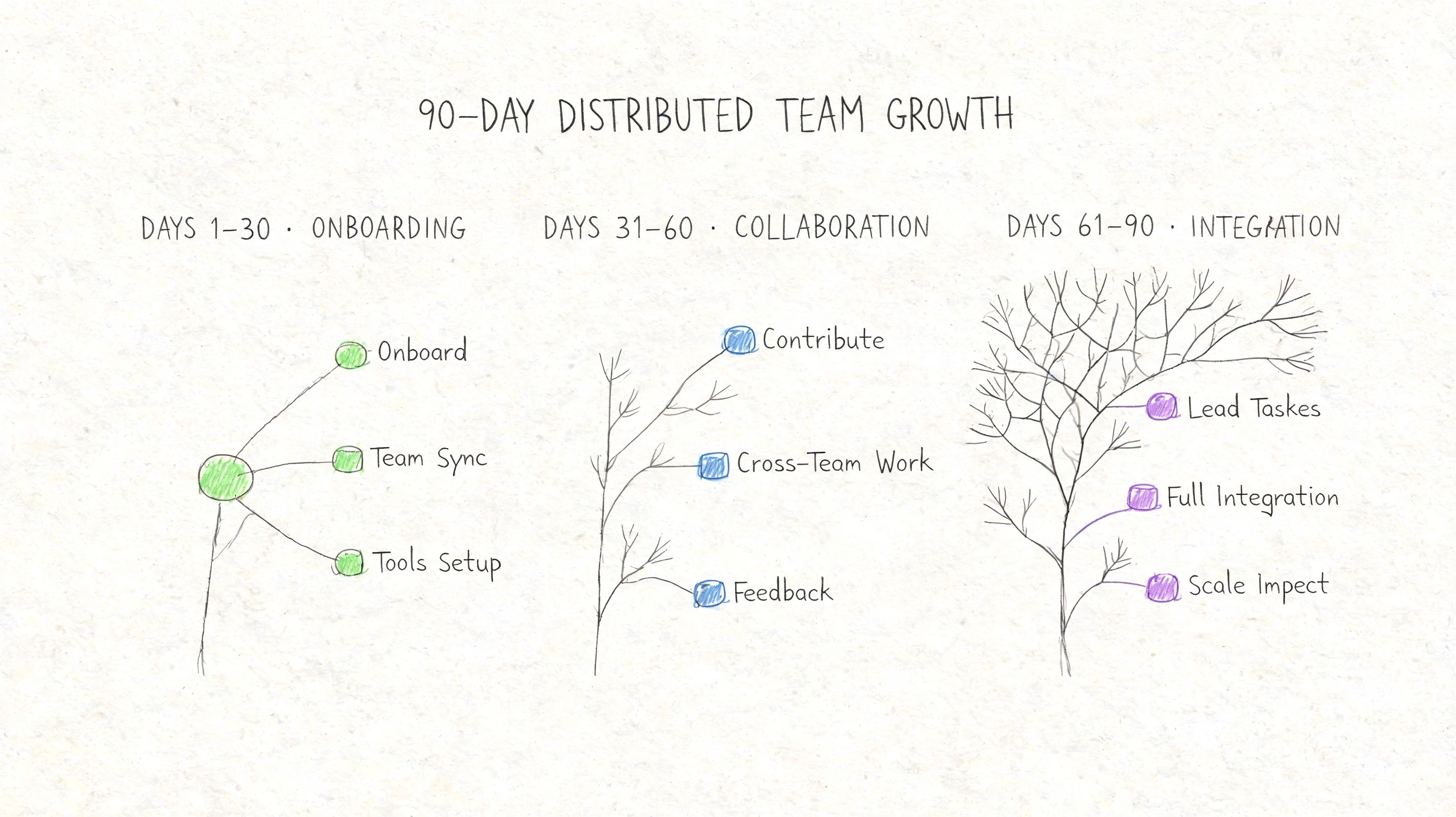 A hand-drawn illustration outlining a 90-day growth plan for distributed teams broken into three phases.