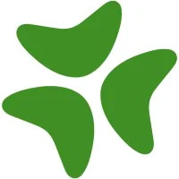 Bloomerang Logo