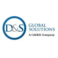 D&S Global Solutions logo