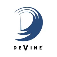 DeVine Consulting, Inc. logo