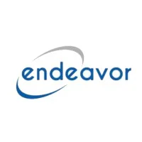 Endeavor Consulting Group logo