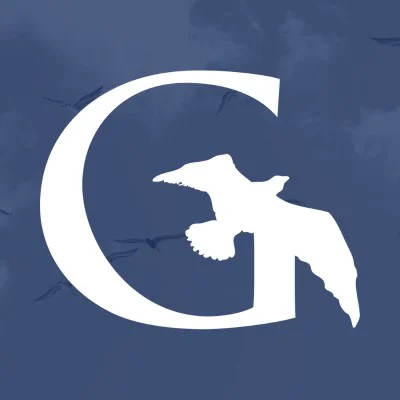 Gullview Technologies Logo