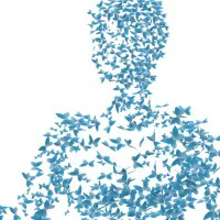 ISR Division Systems logo