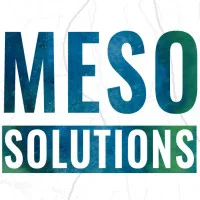 Meso Solutions Logo