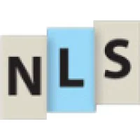Next Level Strategies Logo