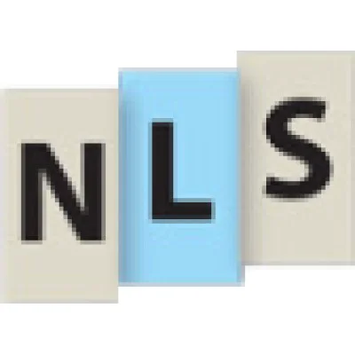 Next Level Strategies Logo