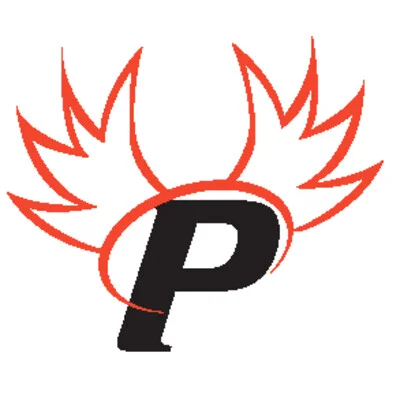 Paragon Cyber Solutions Logo
