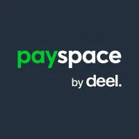 PaySpace Logo