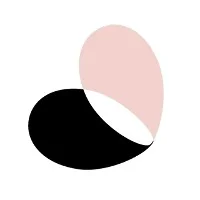Socialfly Logo