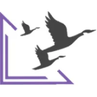 Visions Human Resource Services Logo